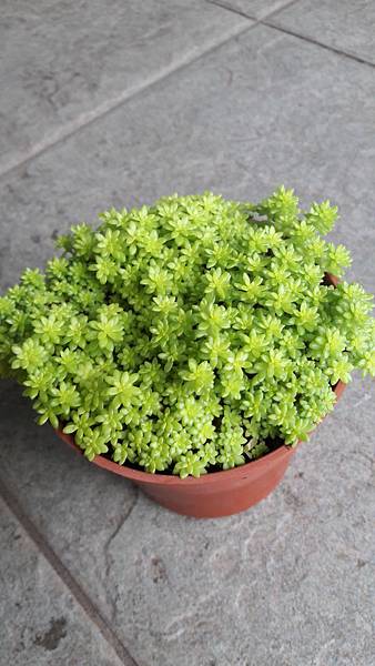 20180511_062414.jpg 20180511_062414.jpg