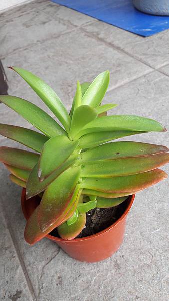 20180511_062401.jpg 20180511_062401.jpg