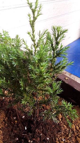 20180511_062537.jpg 20180511_062537.jpg