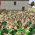 47.JPG