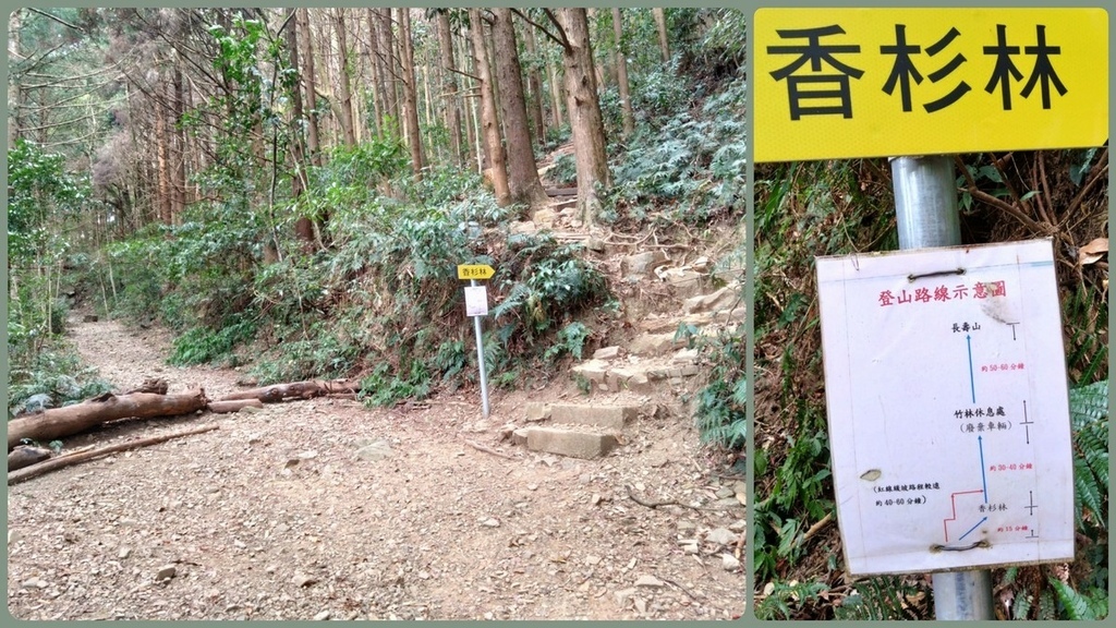 登山〉台中和平．長壽山．鳶嘴西稜步道