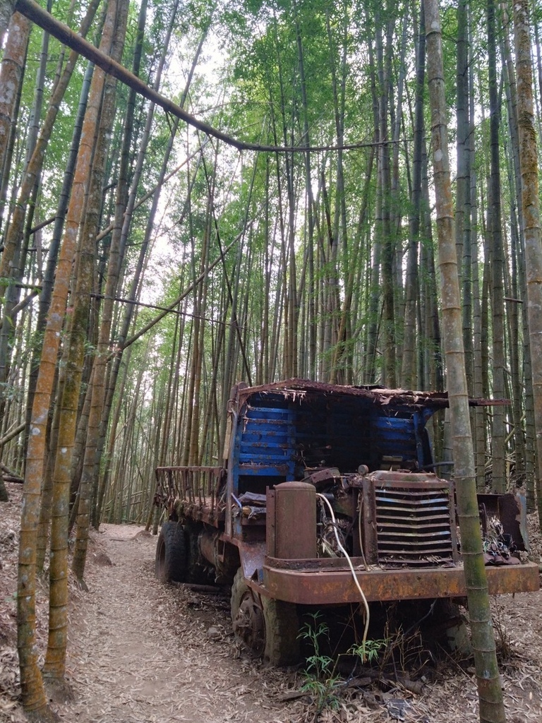 登山〉台中和平．長壽山．鳶嘴西稜步道