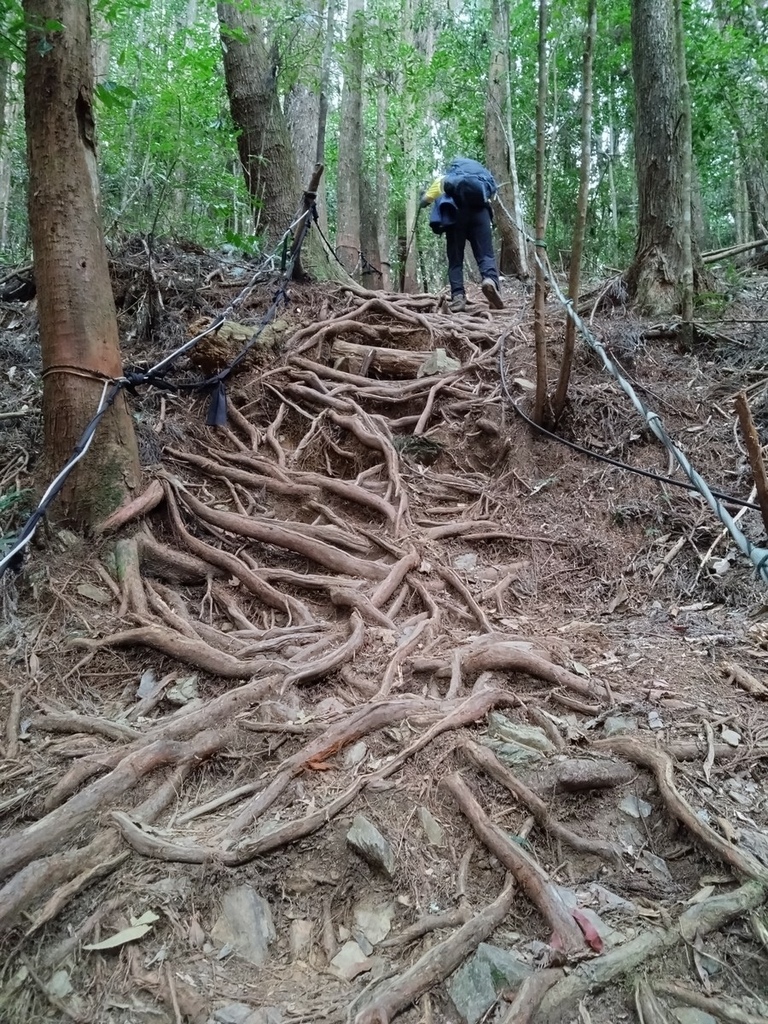 登山〉台中和平．長壽山．鳶嘴西稜步道