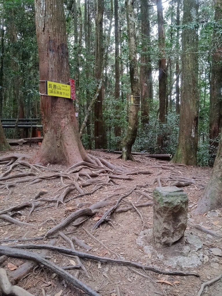 登山〉台中和平．長壽山．鳶嘴西稜步道