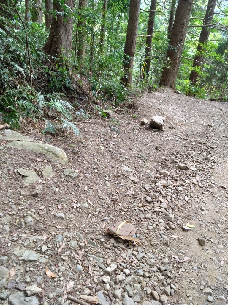 登山〉台中和平．長壽山．鳶嘴西稜步道