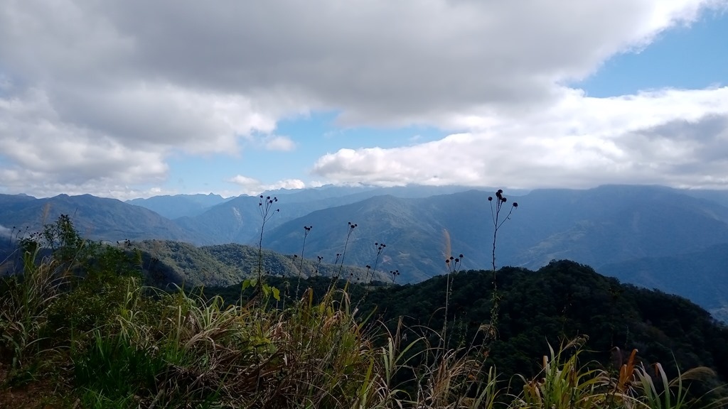 狗狗出遊〉苗栗大湖．馬那邦山