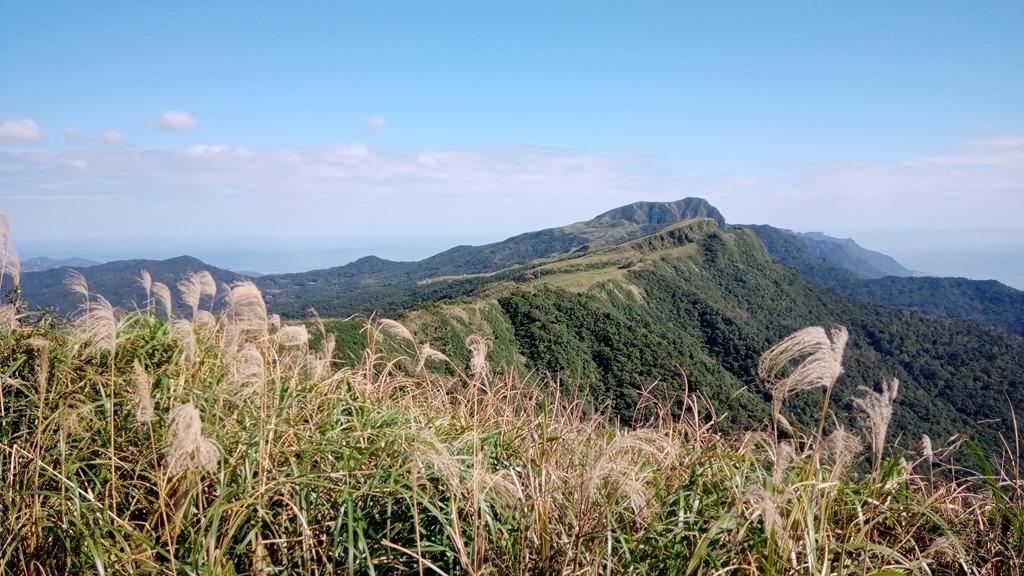 狗狗出遊〉宜蘭頭城．桃源谷步道