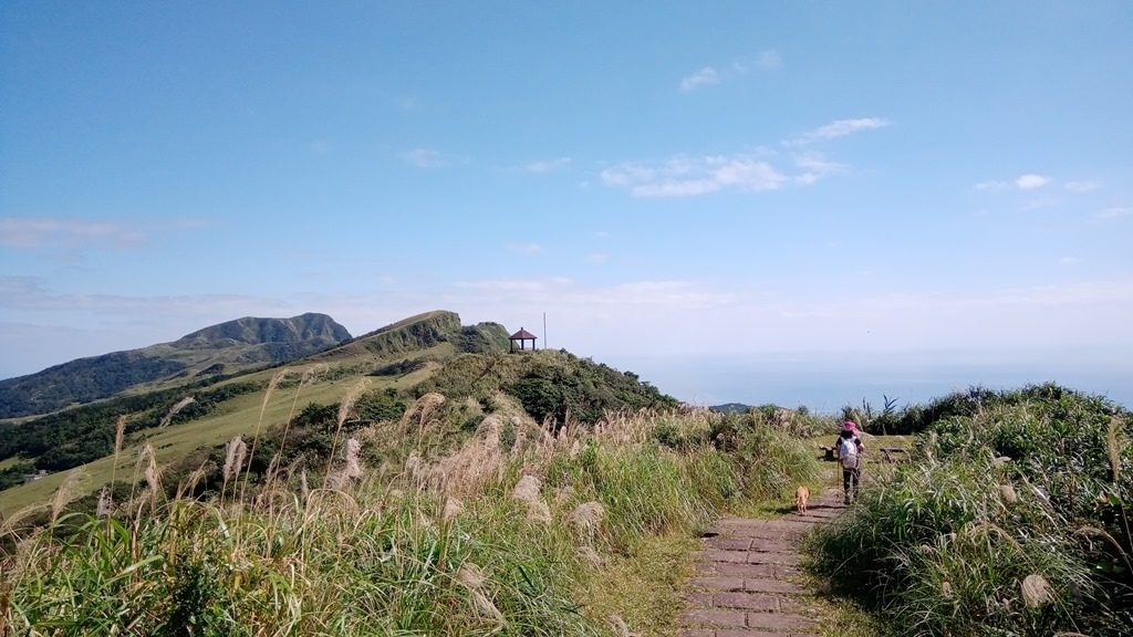 狗狗出遊〉宜蘭頭城．桃源谷步道