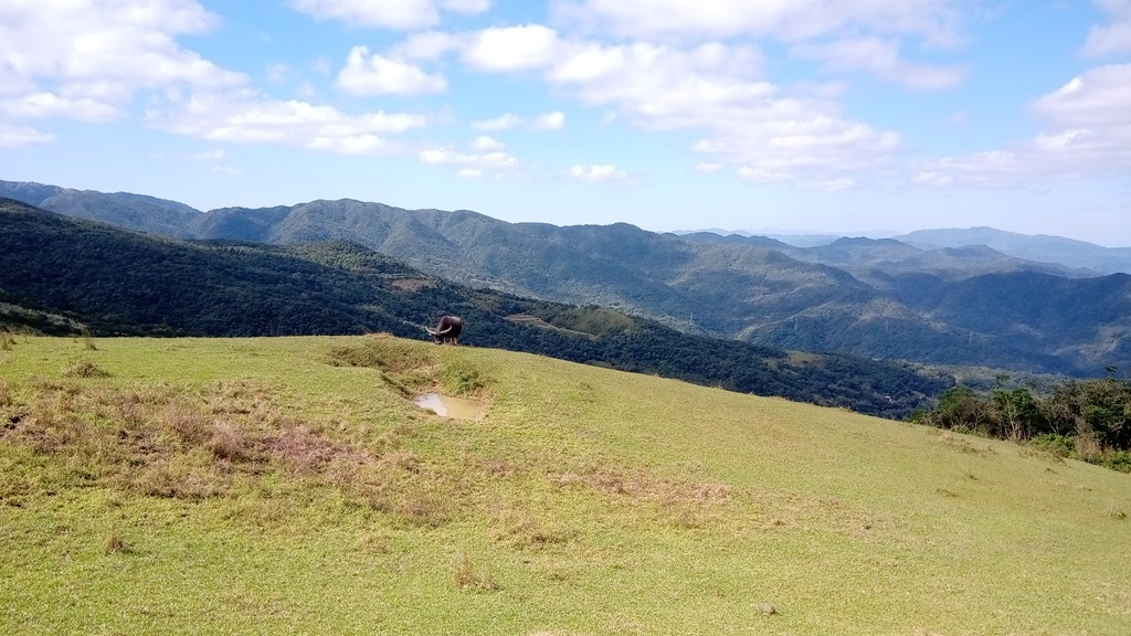 狗狗出遊〉宜蘭頭城．桃源谷步道