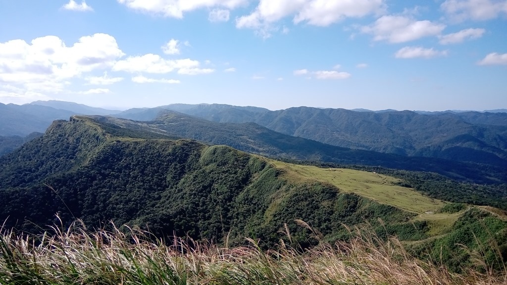 狗狗出遊〉宜蘭頭城．桃源谷步道