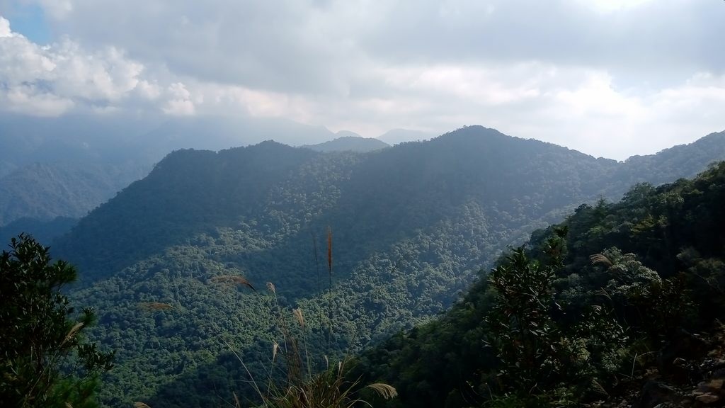 狗狗出遊〉台中和平．谷關七雄．白毛山