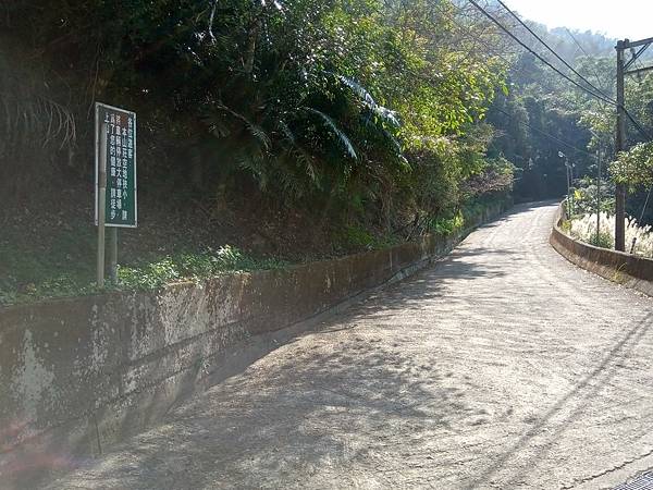 狗狗登山〉苗栗泰安．上島山（鳥嘴山）