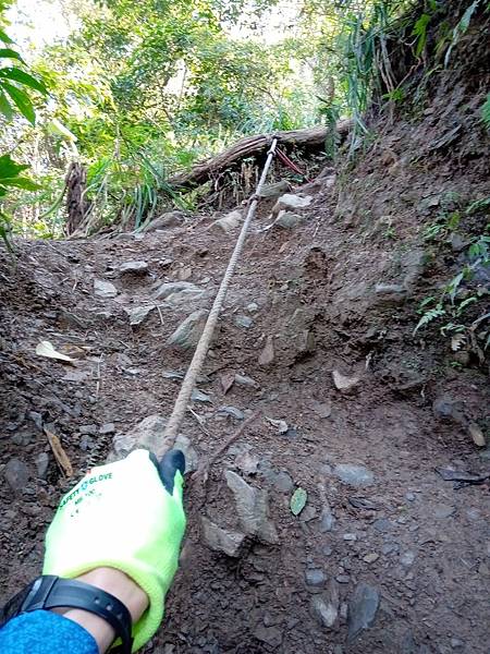 狗狗登山〉苗栗泰安．上島山（鳥嘴山）