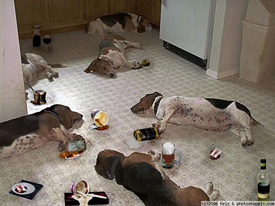 dogs_party1