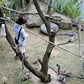 CX0A5848.JPG