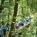 082199 大雪山森林浴步道 眾人行.JPG