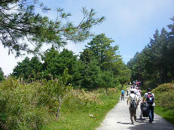 大雪山通往天池的步道     082299.JPG