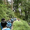 082199  大雪山森林浴步道 蜿蜒下坡路.JPG