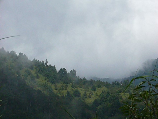 霧鎖48k景觀台大雪山景  082299.JPG