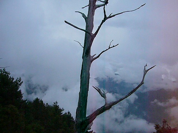 大雪山觀景台     082299.JPG