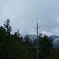 082299  大雪山觀景台之風景.JPG