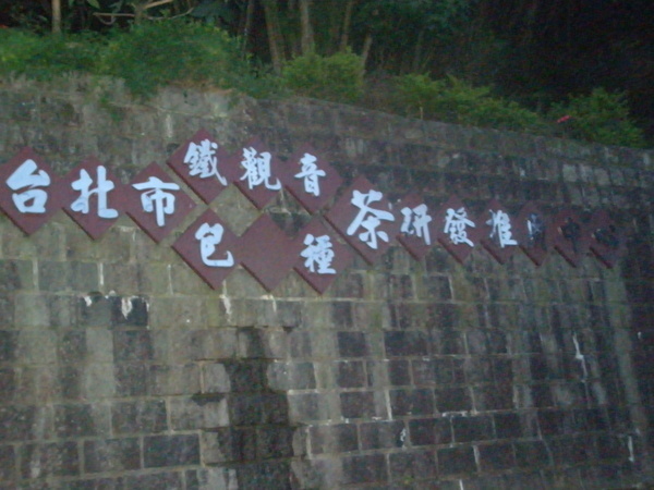 P6080011.JPG