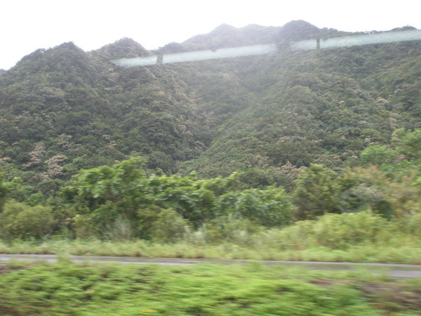 P7290007.JPG
