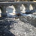 IMGP1028.JPG