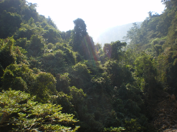 IMGP1036.JPG