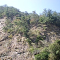 IMGP1048.JPG