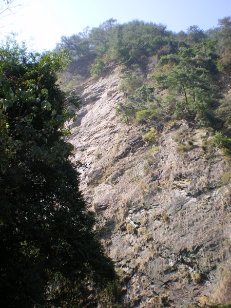 IMGP1051.JPG
