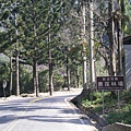 IMGP1052.JPG