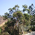 IMGP1053.JPG