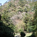 IMGP1066.JPG