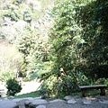 IMGP1068.JPG