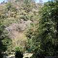 IMGP1070.JPG
