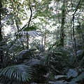 IMGP1074.JPG