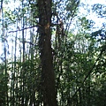 IMGP1081.JPG