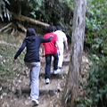 IMGP1087.JPG