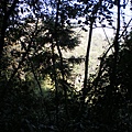 IMGP1088.JPG