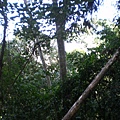 IMGP1090.JPG