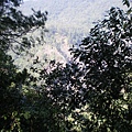 IMGP1094.JPG