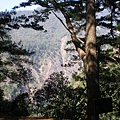 IMGP1096.JPG