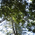 IMGP1099.JPG