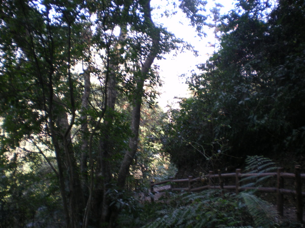 IMGP1102.JPG