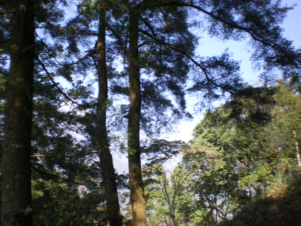 IMGP1115.JPG