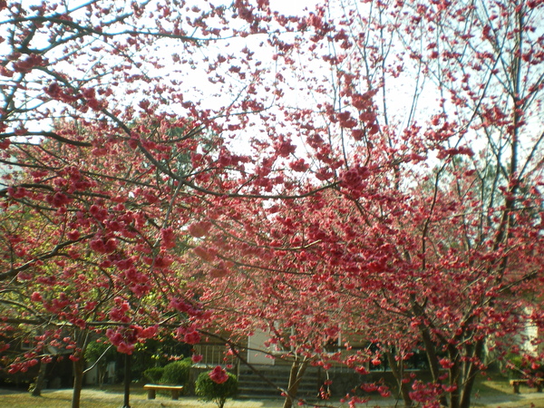 IMGP1130.JPG