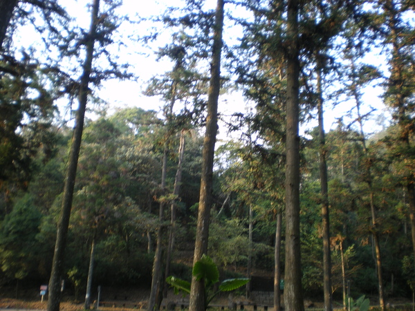 IMGP1157.JPG