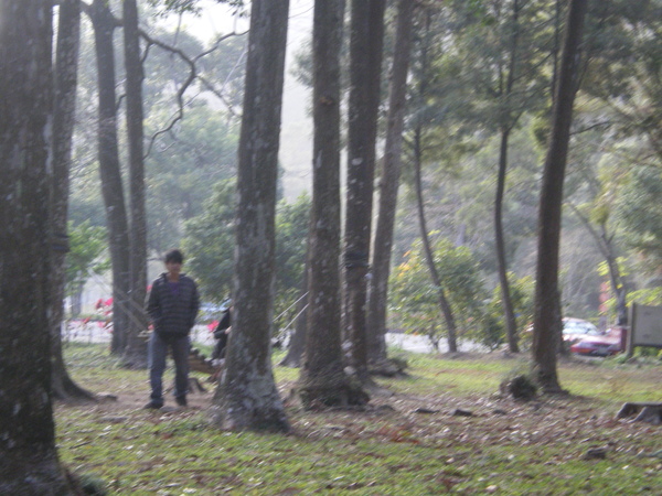 IMGP1160.JPG