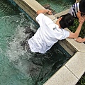 IMG_1067.JPG